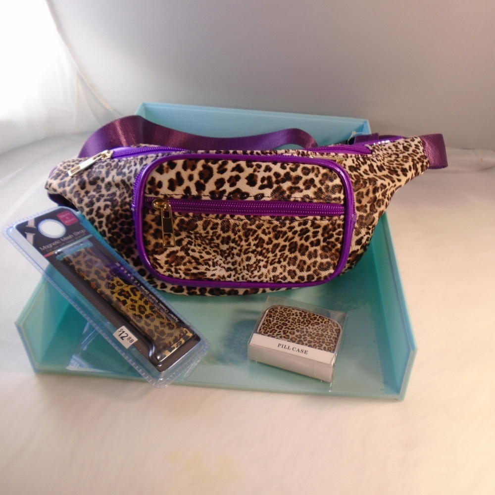 Purse (NWT) fanny